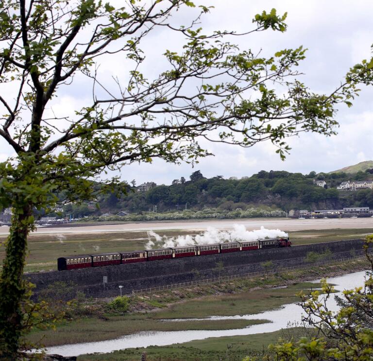 A steam train travelling alongside the coast with a harbour in the background.