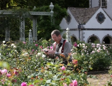 A man taking photos of flowers in a garden.