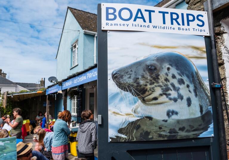A board with a picture of a seal in the water advertising boat trips to an island. 