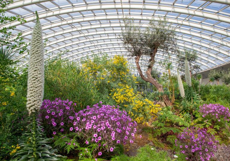 A Great Glasshouse with colourful flowers and exotic plants.