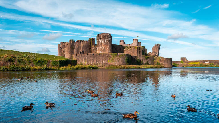 A castle with a leaning tower behind ducks swimming on a moat.