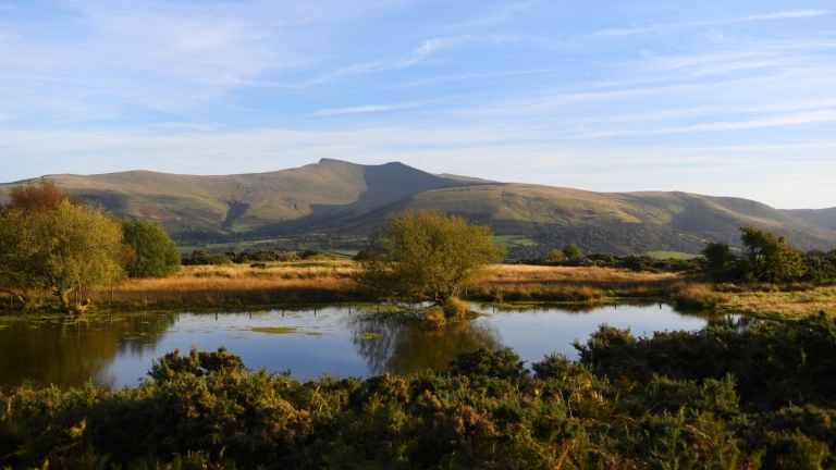 A tree in the centre of a lake with mountains in the background.