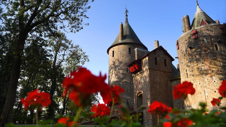 Castell Coch in the sunshine framed by red geranium flowers and a tree.