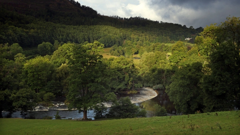 A weir shaped like a horseshoe amongst forestry.