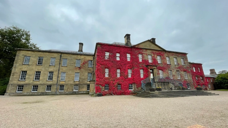 A grand mansion covered in creeping red ivy.