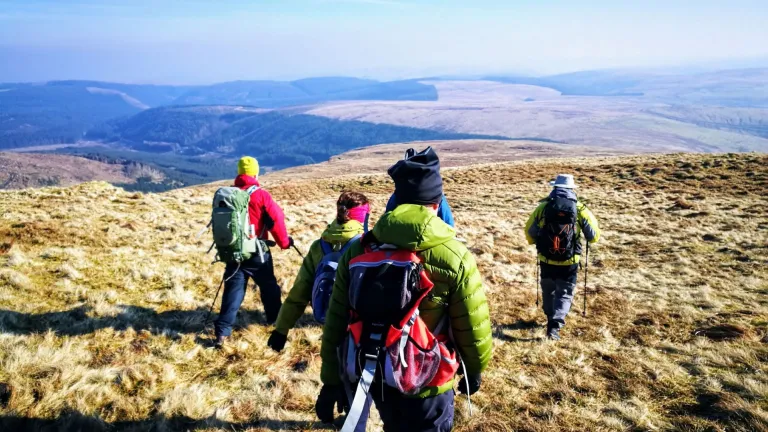 Group of walkers on a mountain.