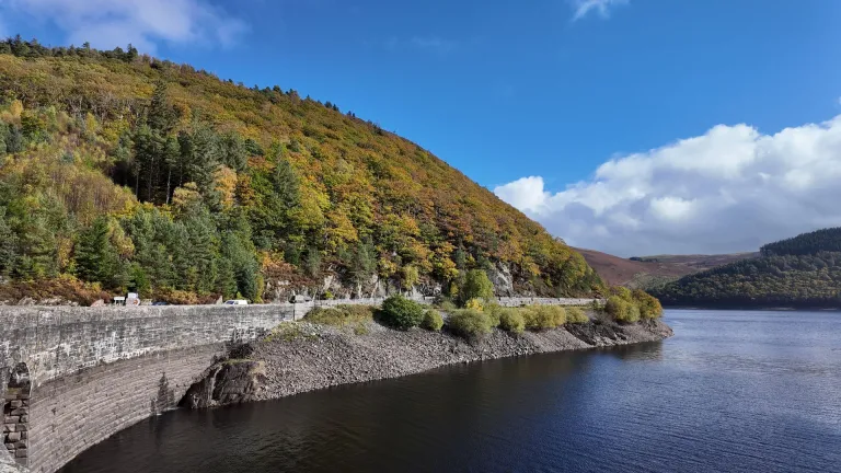A lake surronded by a forestry.