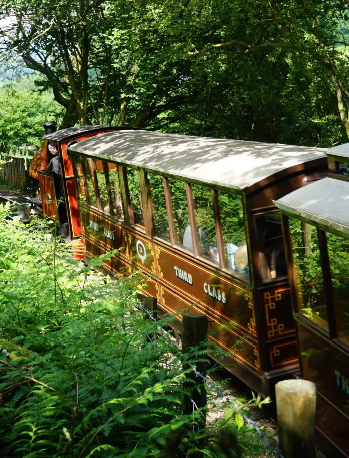 Steam train journey surrounded by trees and greenery.