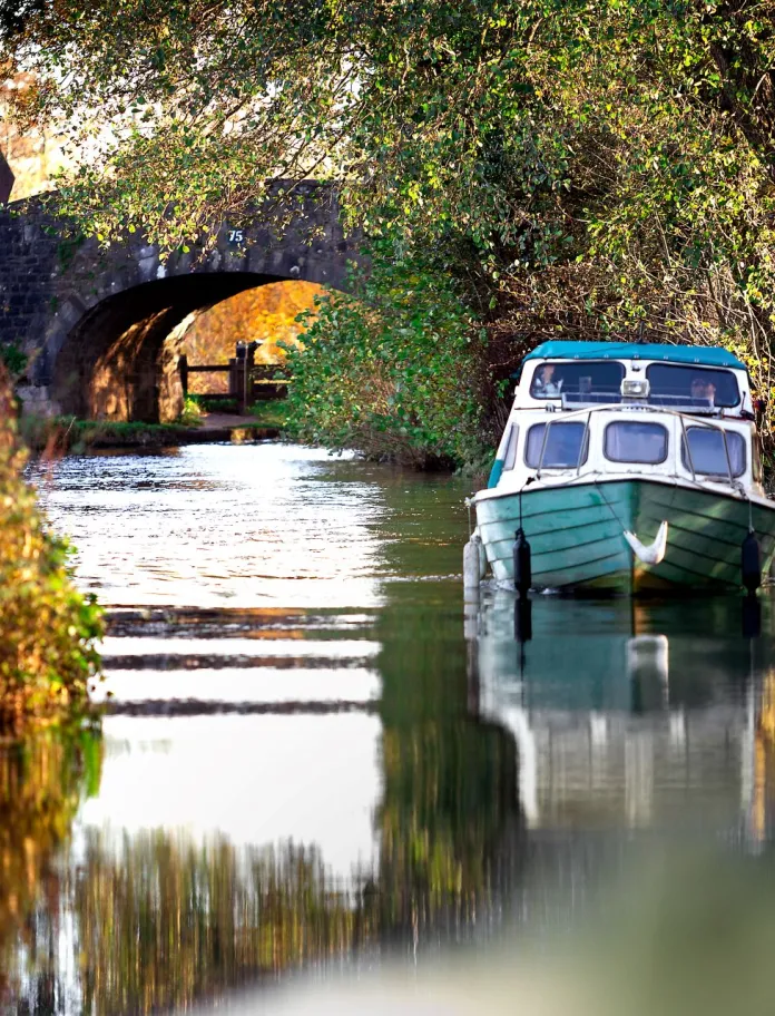 Boat on the canal moored under a tree with a bridge in the background.