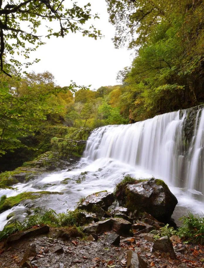 A waterfall cascading down rocks amongst trees.