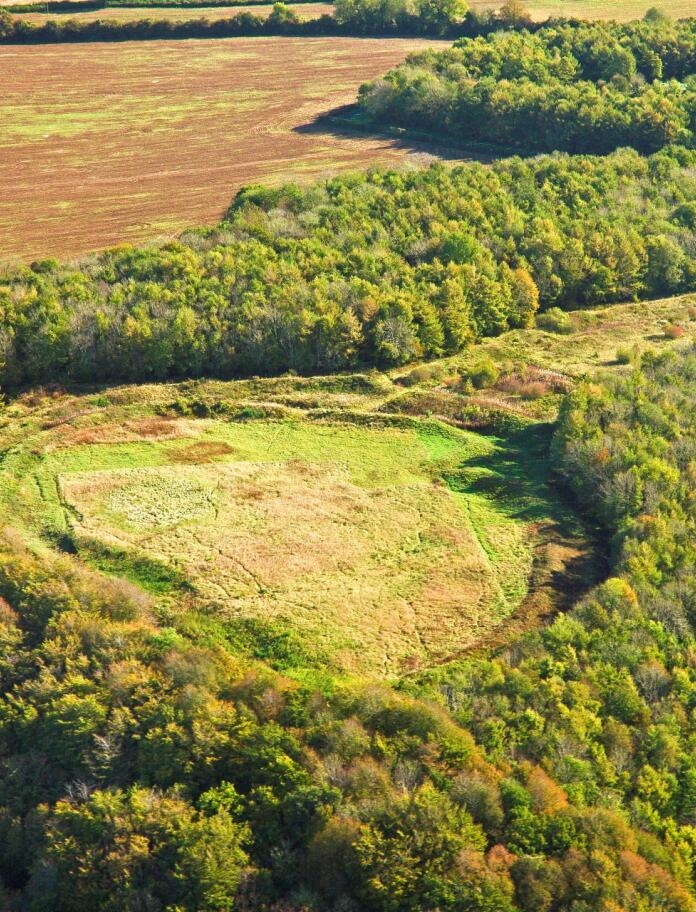 Aerial view of Llanmelin Wood Hill Fort surrounded by forest.