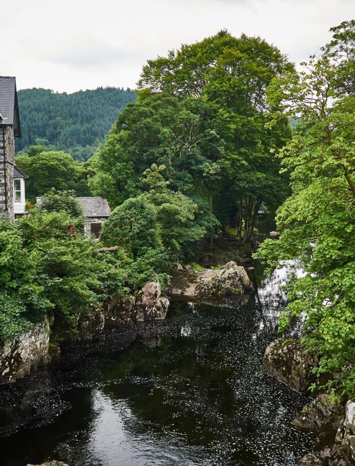 River and houses set amongst lush green trees in Betws-y-Coed.