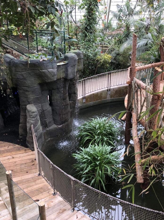 Timber walk way over water feature with plants in Plantasia.