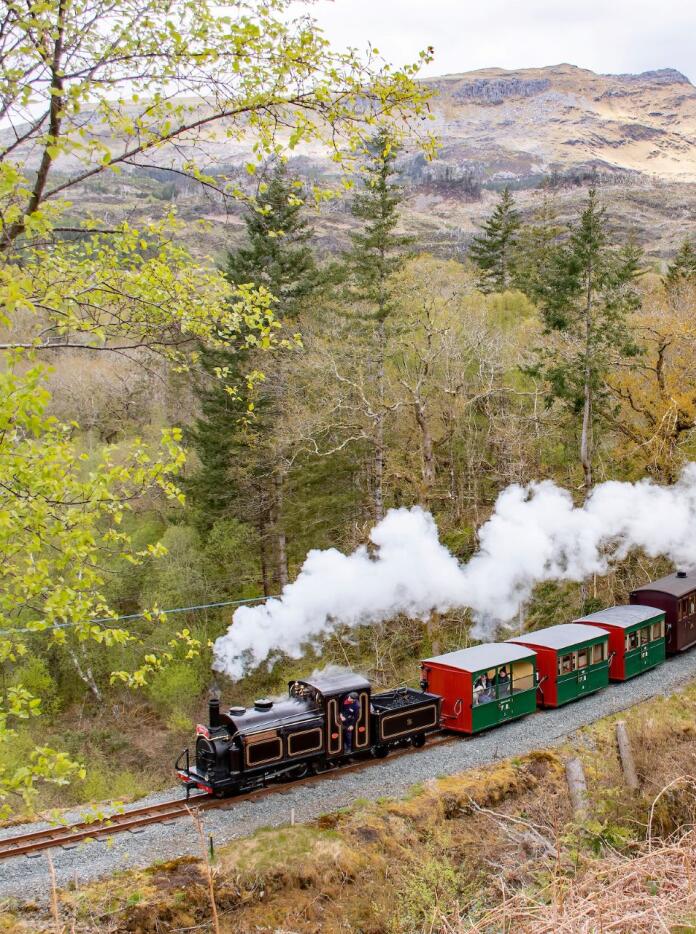 A steam train travelling through mountainous scenery.