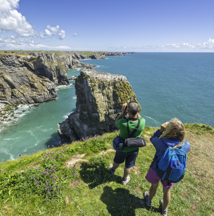 Couple birdwatching, Stack Rocks, Castlemartin, Pembrokeshire