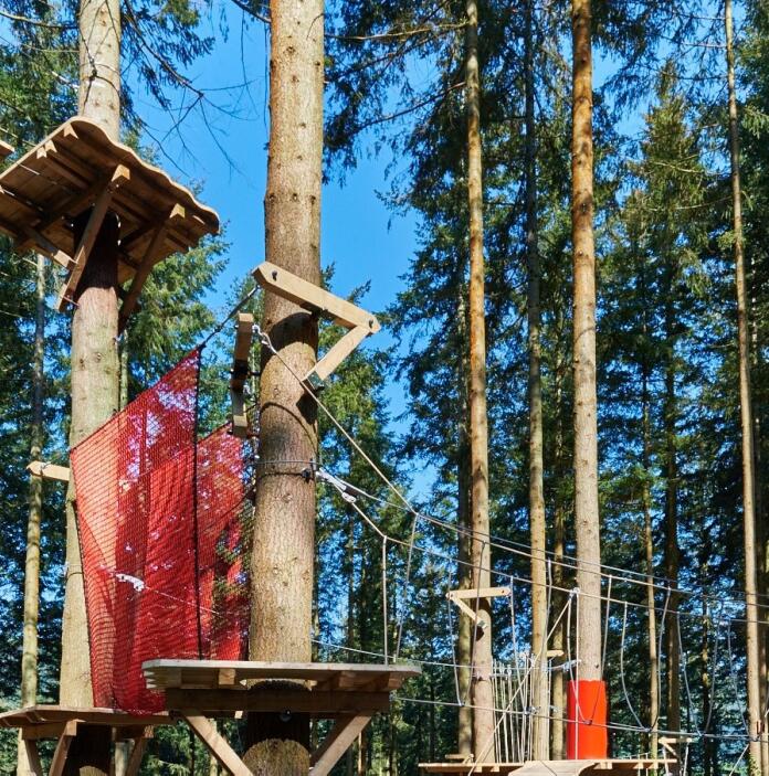 An assault course high up in the trees.