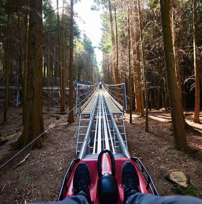 A toboggan on a track in a forest.