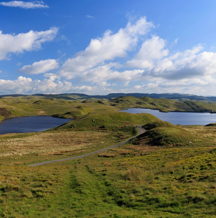 Reservoir pools amongst wild green landscape.