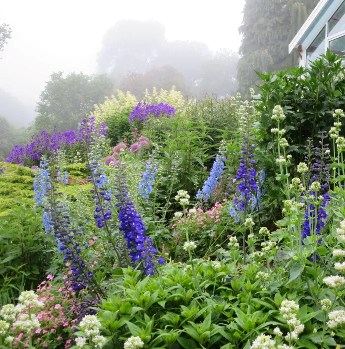 Beautiful flowers in a garden next to a house.