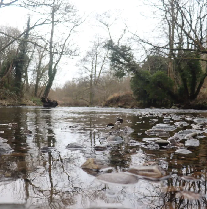 A river running through a country park.