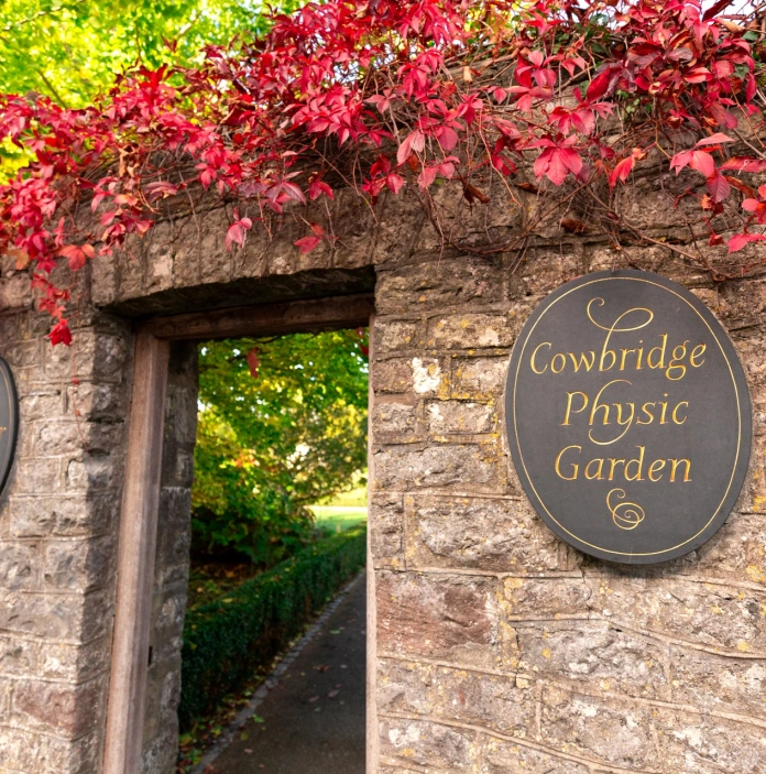 A doorway in a stone wall leading to a physic garden.