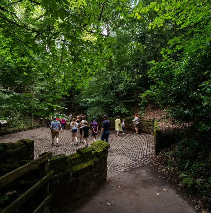 People walking around a park full of lush green trees.