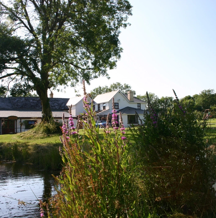 The house in a vineyard behind a lake.