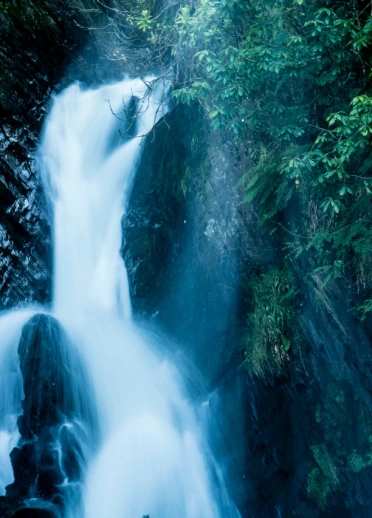 A waterfall cascading down rocks amongst trees.