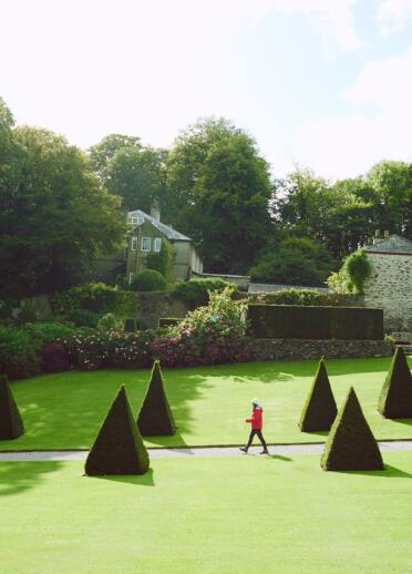 A person walking through a garden lined with topiary coned hedges.