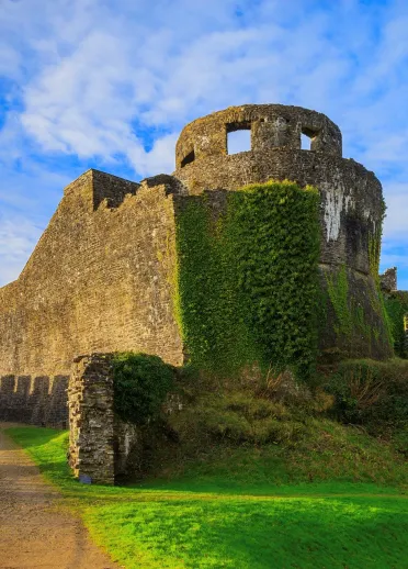 The entrance to a castle covered in ivy and moss in green open pastures.