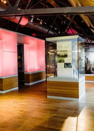 Exhibits in glass boxes with a wooden trimmed base and lightboxes in a museum.