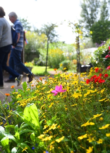 A couple exploring a garden with pretty flowers, and a shed.