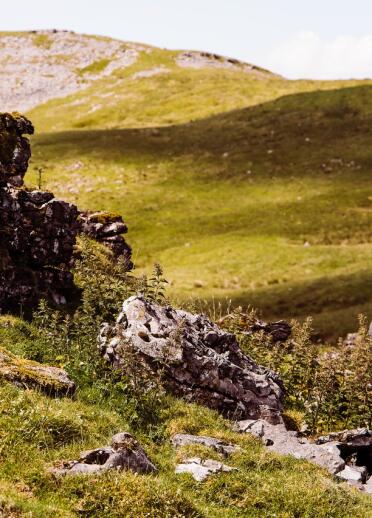 Sheep on a lush green mountain.