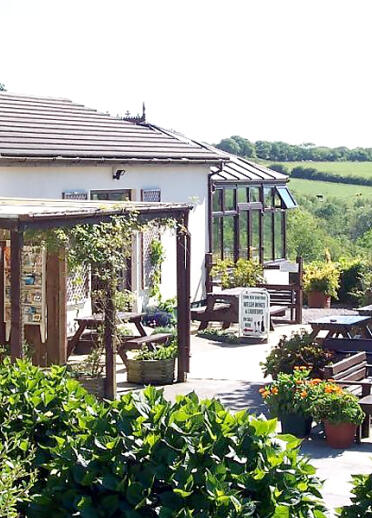 The restaurant and outside seating area at Cwm Deri Vineyard, Narberth.