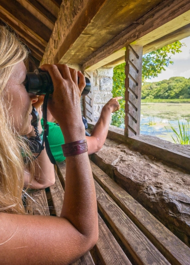 Couple bird watching from a hide
