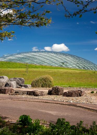 Looking towards a large glasshouse containing tropical plants over grassy bank.