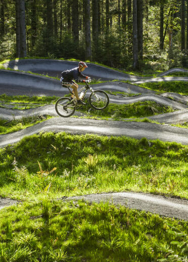A mountain biker on zip zagging tracks with forest trees in the background.