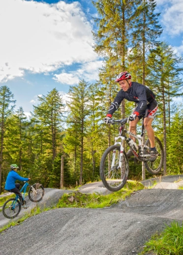Mountain bikers practicing jumps on humps surrounded by pine trees.