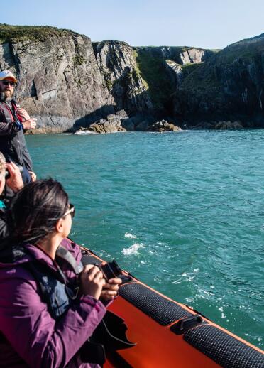 People in a speedboat spotting seals, dolphins and wildlife.