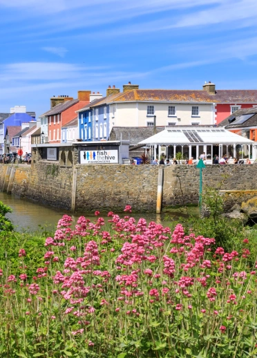 Colourful buildings along a harbour wall framed by colourful flowers.