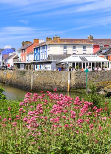 Colourful buildings along a harbour wall framed by colourful flowers.
