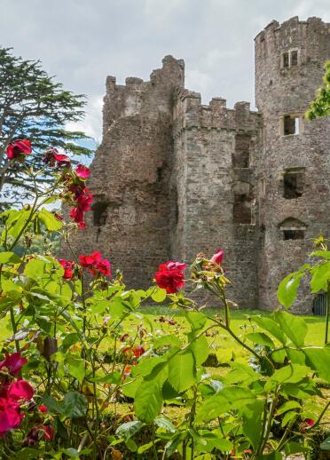 A castle framed by lush green trees and a rose bush.