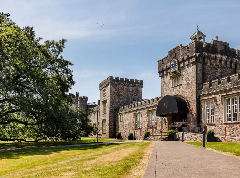 A path leading to a castle distillery with a large tree next to it.