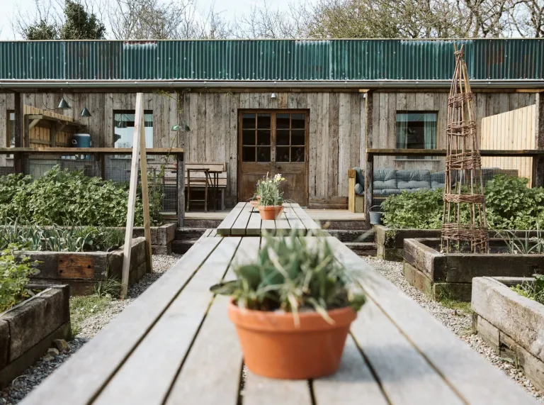 Exterior view of the Garden Shac at Fforest with vegetables growing outside.