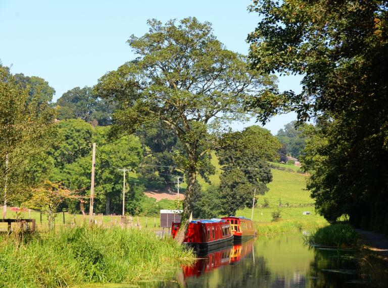 Two narrowboats moored up on a canal surrounded by greenery.