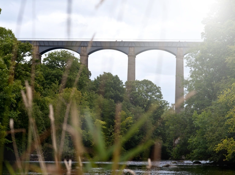 View of a tall aqueduct from the river.