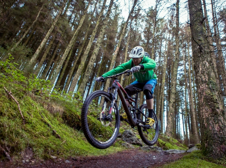 A mountain biker doing a jump amongst forestry.