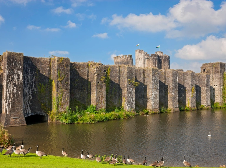 External wall of a castle surrounded by a moat and grazing Canadian geese.