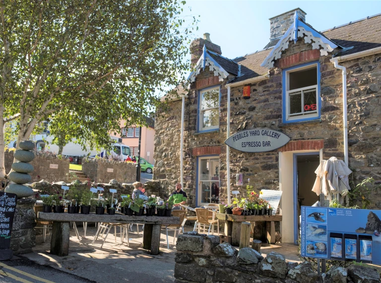 A gallery and coffiee shop in St Davids with plants on display to buy.