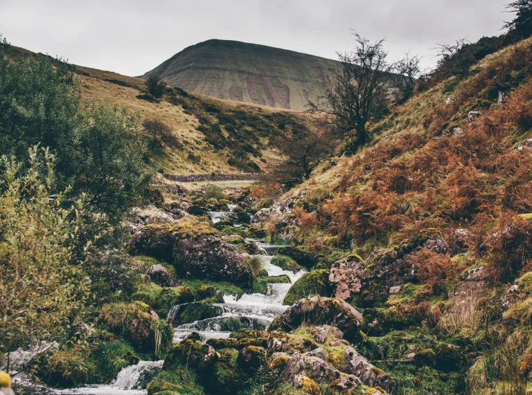 A brook trickling over rocks covered in moss with a dramatic mountain in the background.